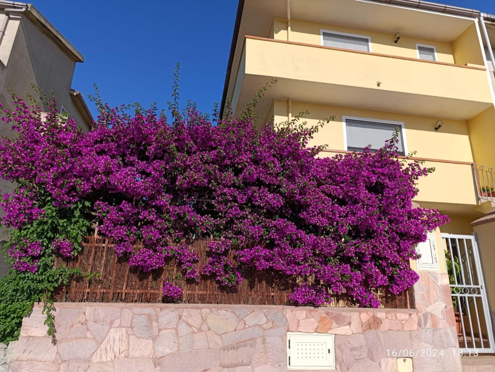 Bouganville Olmedo Exterior foto